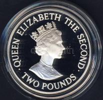 Jersey 1993. 2Ł Ag "Erzsébet-40. koronázási évforduló" T:PP Csak 10.000db!