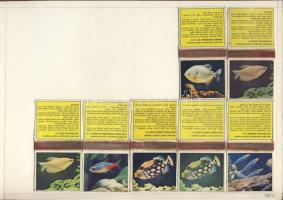 425 klf olasz gyufacímke szépen feldolgozva érdekességekkel