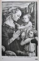 Pesti Hírlap könyvtára. A szépművészetek könyve. Bp., 1940, Pesti Hírlap Rt. Kiadói aranyozott gerin...