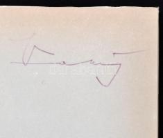 Vas István: Nem számít. Bratislava, 1969, Madách Könyvkiadó. Az előzéklapon a szerző aláírásával. Vá...