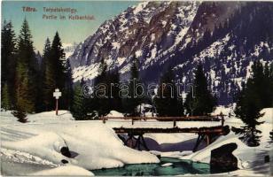 Tátra, Tatry; Tarpatak-völgy télen / Partie im Kolbachtal / Studená dolina, valley in winter (ázott / wet damage)