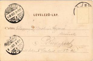 1903 Újszász, Vasútállomás, Vasúti szálloda és étterem, kerthelyiség, Római katolikus templom. Kiadj...