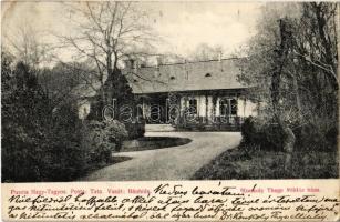 1909 Nagytagyos, Puszta Nagy-Tagyos (Környe); Konkoly-Thege Miklós háza, kastély  (EK)
