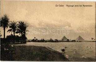 Cairo, Le Caire; Paysage pres les Pyramides / Pyramids