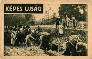 Ágyúk vontatása nehéz terepen. A Képes Újság felvétele / WWI Austro-Hungarian K.u.K. military, soldiers towing cannons through rough terrain