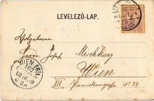 1899 Temesvár, Timisoara; Hunyadi utca, Csendes Jakab üzlete és saját kiadása / street view with sho...