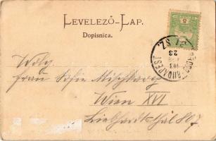 1903 Vinkovce, Vinkovci; Hotel Reisz vis-a-vis dem Bahnhofe / Svratiste Reisza / Reisz szálloda és v...