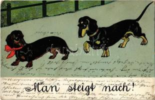 Man steight nach! / Dachshund art postcard, dogs, artist signed (EK)