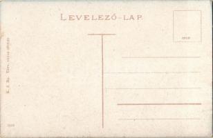 Orosháza, M. kir. postahivatal, gyógyszertár, Beregi Lajos üzlete