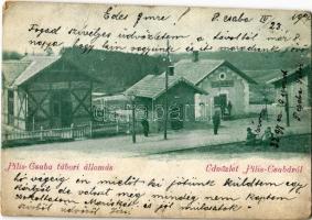 1902 Piliscsaba, Tábori vasútállomás (EB) (ferdén vágva / slant cut)