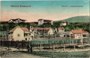 Budakeszi, részlet a szanatóriummal