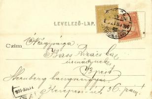 1906 Csongrád, az 1888. évi árvíz. Szilber János kiadása (EK)