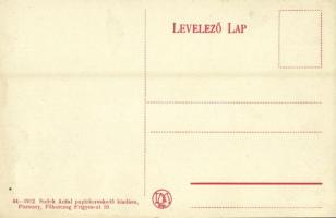 Pozsony, Pressburg, Bratislava; várrom. Sudek Antal kiadása / Schloss / castle ruins  (EK)