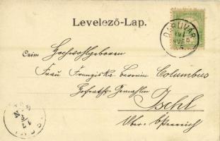 1901 Daruvár, Daruvar; utcakép, L.J. Jovanovic üzlete / street view with shop