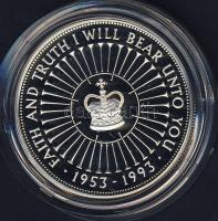 Nagy-Britannia 1993. 5Ł Ag "Erzsébet-40. koronázási évforduló" T:PP