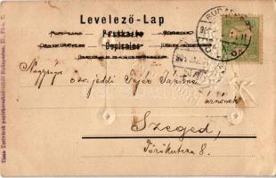 1904 Boldog Újévet! / New Year greeting floral Emb. litho