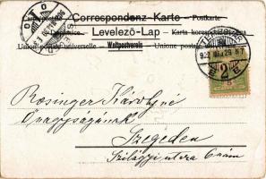 1902 Tirol / Tyrolean folklore, highlander, metallic litho decoration (EK)