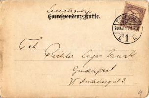 1900 Julie Kopacsy-Karczag, Hungarian soprano opera singer. Art Nouveau, floral (EK)