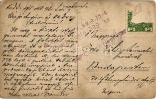 1915 M. kir. 12. honvéd gyalogezred 15/4. katonái fenyőággal a sapkajukon / WWI K.u.K. military, sol...