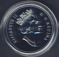 Kanada 1995. 1$ Ag "Hudson öböl" T:PL