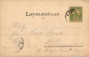 ~1900 Námesztó, Námestovo; Fő utca, Schein M. kiadása / main street