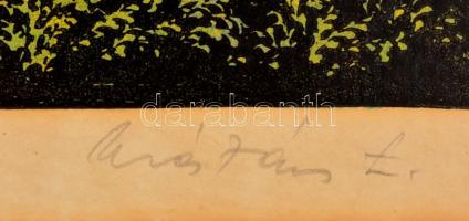 Mészáros Lajos (1925-1971): Zagyva. Színes linó, papír, jelzett, kopásnyomokkal, 25×38 cm