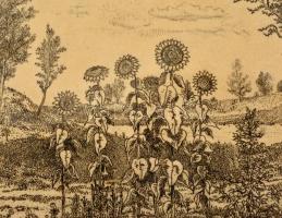 Gross Arnold (1929-): Nyár. Rézkarc, papír, jelzett, üvegezett keretben, 23×34 cm