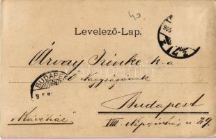 1905 Ex Lex. A nagyemberek, a Magyar Színház revü előadása / Hungarian theater's revue performa...