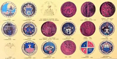 A Magyar Királyság vármegyéinek címeres pecsétjei, térkép, szakadt, 115×75 cm