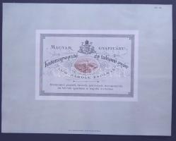 cca 1890 Zsolnai gyapjuárú-gyár hirdetése (litho) 28x22cm / litho advertising of a woolware-factory Zsolna