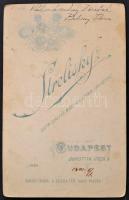 cca 1900 Kálmánchey Dezső geszterédi földbirtokos felesége Babsay Ilona. Kabinetfotó  11x18 cm