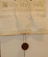 1832 Dekoratív magyar jogi egyetemi diploma kutyabőrön 65x48cm