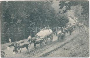 Train. Trén (málhás szekerek menetoszlopa és legénysége) pihenő, lovak etetés alatt / WWI Austro-Hungarian K.u.K. packed carriages on a break, soldiers feeding the horses (EK)
