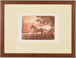 Gulyás László (1960-): Reggeli fények. Rézkarc (próba), papír, üvegezett keretben, jelzett,14×19 cm