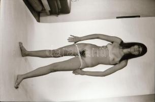 cca 1979 Alulnézet, de jó nézet, szolidan erotikus felvételek, 13 db vintage negatív + 2 db mai nagy...