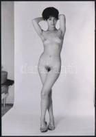 cca 1976 Titkos akták titkos aktjai, szolidan erotikus felvételek, 13 db vintage negatív + 2 db mai ...