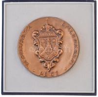 Soltra E. Tamás (1955-) "Pécs Városháza Emlékérem" kétoldalas Br emlékérem, eredeti tokban...