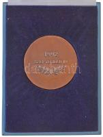 1992. "Veterán Repülők Egyesülete - Pécs - 1992. szeptember 19." kétoldalas, öntött Br pla...