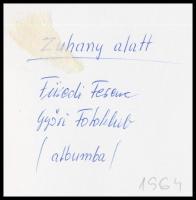 cca 1964 Füredi Ferenc: Zuhany alatt, feliratozott vintage fotóművészeti alkotás, 11,2x23 cm
