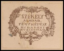 cca 1925 Székely Aladár (1870-1940) budapesti műtermében készült, matricával jelzett, vintage fotó, ...