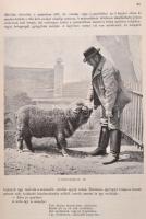 Malonyay Dezső: A magyar nép művészete III. kötet. A balatonvidéki magyar pásztornép művészete. Bp.,...