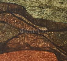 Olvashatatlan jelzéssel: Demanovska dolina. Olaj, vászon, foltos, 55×90 cm