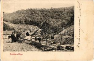 1909 Cuha, Cuha-völgy; vasúti alagút. Berecz Viktor kiadása (EK)