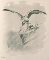 Bársony István 2 munkája (egybekötve): 
Magyar természeti és vadászati képek. Neogrády Antal képeiv...