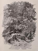 Bársony István 2 munkája (egybekötve): 
Magyar természeti és vadászati képek. Neogrády Antal képeiv...