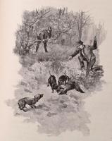 Bársony István 2 munkája (egybekötve): 
Magyar természeti és vadászati képek. Neogrády Antal képeiv...