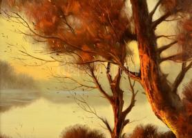 Csáky Lajos (1950-): Tiszapart. Olaj, farost, jelzett, keretben, 41×28 cm