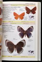 David Carter: A világ lepkéi. Határozó kézikönyvek. Több mint 500 lepkefaj képes határozókönyve. Bp....