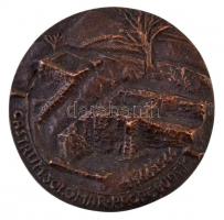 1966. "Solymár" kétoldalas Br plakett "CASTRUM SOLO MAR PROPE BUDAM 1566-1966 / SALMA...