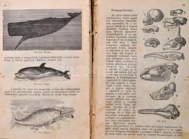 Természetrajz polgári leányiskolák részére. Wettstein H. nyomán a polgár leányiskolák tantervének és...